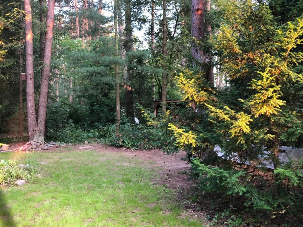 Ferienhaus Reetdach 1300Qm Privatgrundstueck Bootssteg Sauna Templin Luebbesee Uckermark Erholung Pur Seenplatte Petersdorf  Ngoại thất bức ảnh